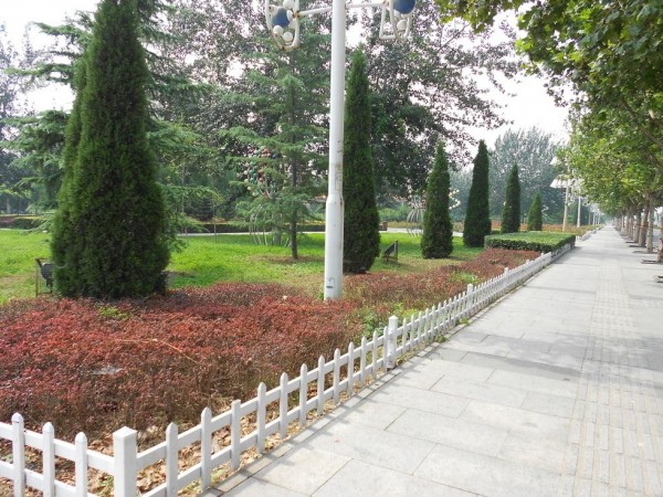 灰色園林綠化灰色地磚